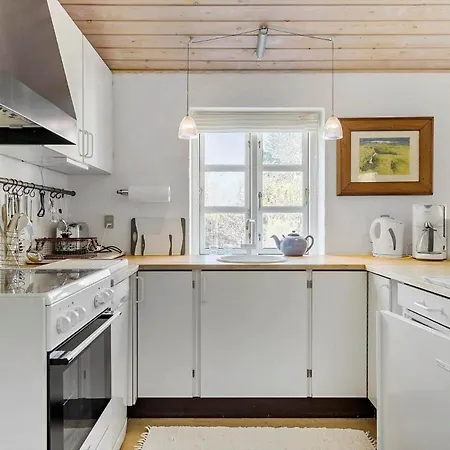 Tv1480-skagen-doktorstien-1 Ferienhaus